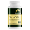 Collagen (Full Spectrum) - 500mg